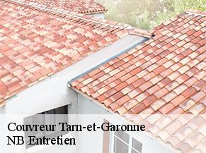 Couvreur 82 Tarn-et-Garonne NB Entretien