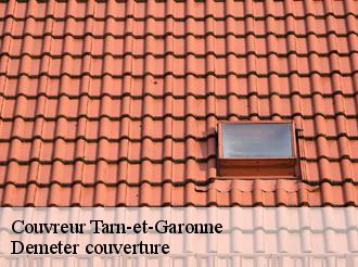 Couvreur 82 Tarn-et-Garonne Demeter couverture