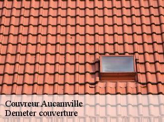 Couvreur aucamville-82600 Demeter couverture
