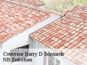 Couvreur barry-d-islemade-82290 NB Entretien