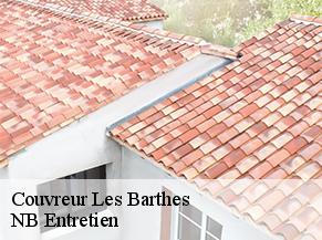 Couvreur les-barthes-82100 NB Entretien