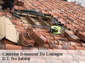 Couvreur  beaumont-de-lomagne-82500 D.J. Pro habitat