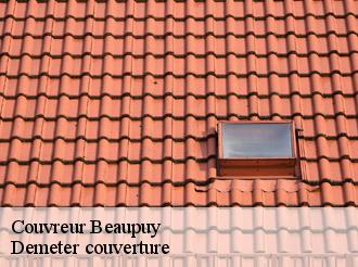 Couvreur  beaupuy-82600 Demeter couverture