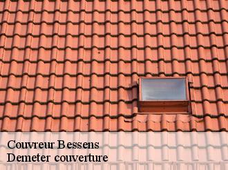 Couvreur bessens-82170 Demeter couverture