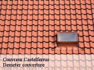 Couvreur castelferrus-82100 Demeter couverture