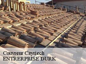 Couvreur cayriech-82240 ENTRERPRISE DURK