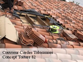 Couvreur  cordes-tolosannes-82700 D.J. Pro habitat