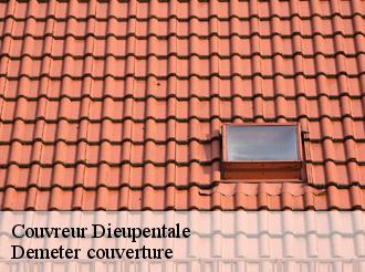 Couvreur dieupentale-82170 Demeter couverture