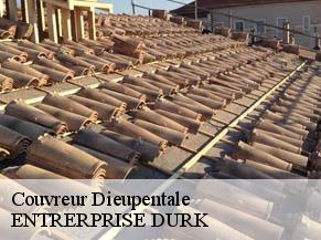 Couvreur dieupentale-82170 ENTRERPRISE DURK