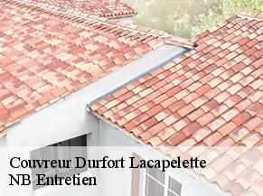 Couvreur durfort-lacapelette-82390 NB Entretien