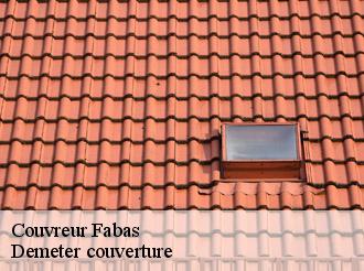 Couvreur  fabas-82170 Demeter couverture