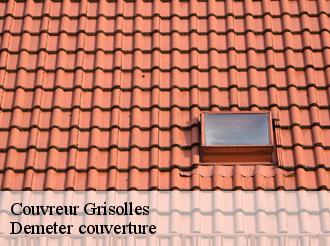 Couvreur grisolles-82170 Demeter couverture