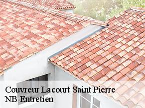 Couvreur lacourt-saint-pierre-82290 NB Entretien
