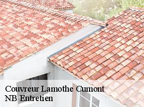 Couvreur lamothe-cumont-82500 NB Entretien