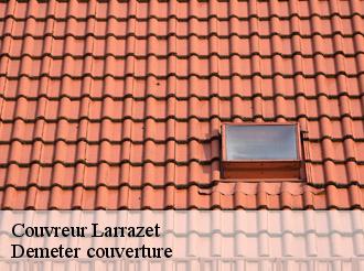Couvreur  larrazet-82500 Demeter couverture