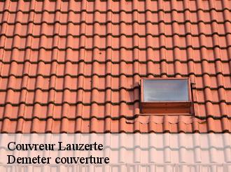 Couvreur lauzerte-82110 Demeter couverture