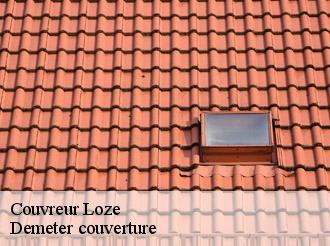 Couvreur  loze-82160 Demeter couverture