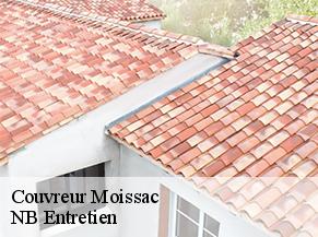 Couvreur moissac-82200 NB Entretien