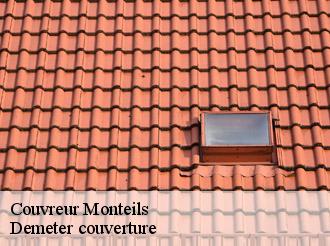 Couvreur  monteils-82300 Demeter couverture