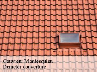 Couvreur  montesquieu-82200 Demeter couverture