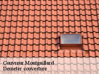Couvreur montgaillard-82120 Demeter couverture