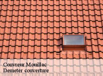 Couvreur  mouillac-82160 Demeter couverture