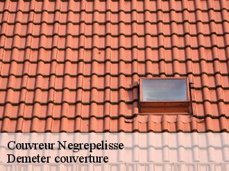 Couvreur negrepelisse-82800 Demeter couverture