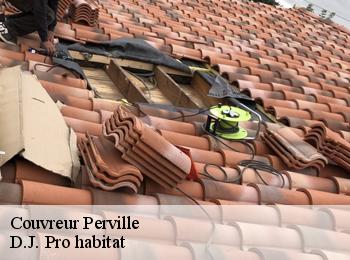 Couvreur  perville-82400 D.J. Pro habitat
