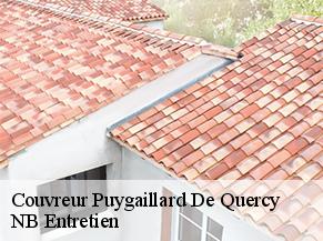 Couvreur puygaillard-de-quercy-82800 NB Entretien