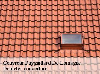 Couvreur puygaillard-de-lomagne-82120 Demeter couverture