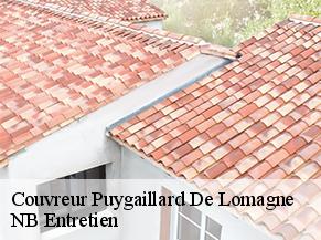 Couvreur  puygaillard-de-lomagne-82120 NB Entretien
