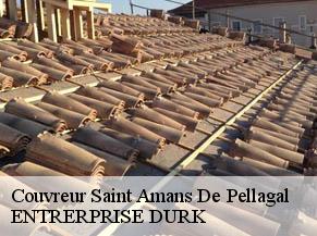 Couvreur  saint-amans-de-pellagal-82110 ENTRERPRISE DURK