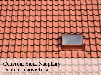 Couvreur saint-nauphary-82370 Demeter couverture
