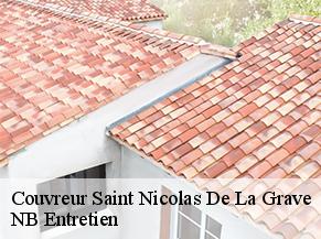 Couvreur saint-nicolas-de-la-grave-82210 NB Entretien