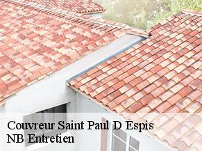 Couvreur saint-paul-d-espis-82400 NB Entretien