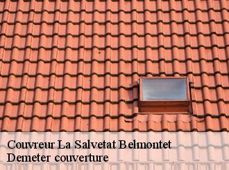 Couvreur la-salvetat-belmontet-82230 Demeter couverture