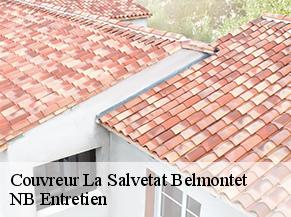 Couvreur la-salvetat-belmontet-82230 NB Entretien
