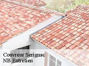 Couvreur serignac-82500 NB Entretien