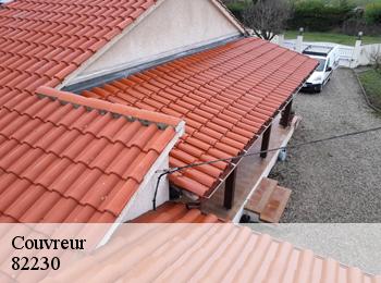 Couvreur 82230