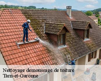 Nettoyage demoussage de toiture
