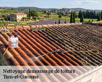Nettoyage demoussage de toiture  