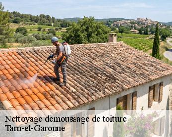 Nettoyage demoussage de toiture