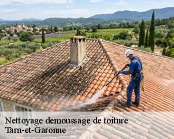 Nettoyage demoussage de toiture  
