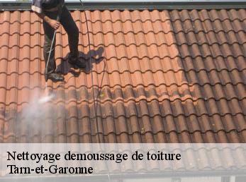 Nettoyage demoussage de toiture  