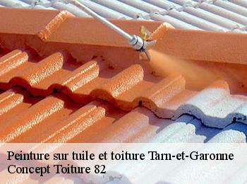 Peinture sur tuile et toiture   D.J. Pro habitat