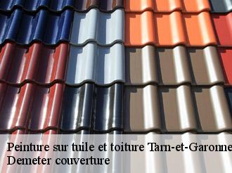 Peinture sur tuile et toiture   Demeter couverture