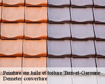 Peinture sur tuile et toiture  