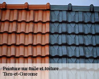 Peinture sur tuile et toiture