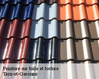 Peinture sur tuile et toiture  