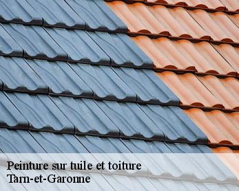 Peinture sur tuile et toiture  
